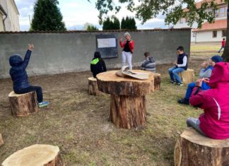 Rönkfából készült szabadtéri tanterem, először a Kiskőrösi EGYMI-ben