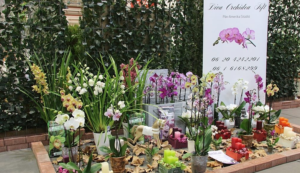 Idén elmarad a FLORA Virágfesztivál és Keceli Országos Fazekas Kiállítás