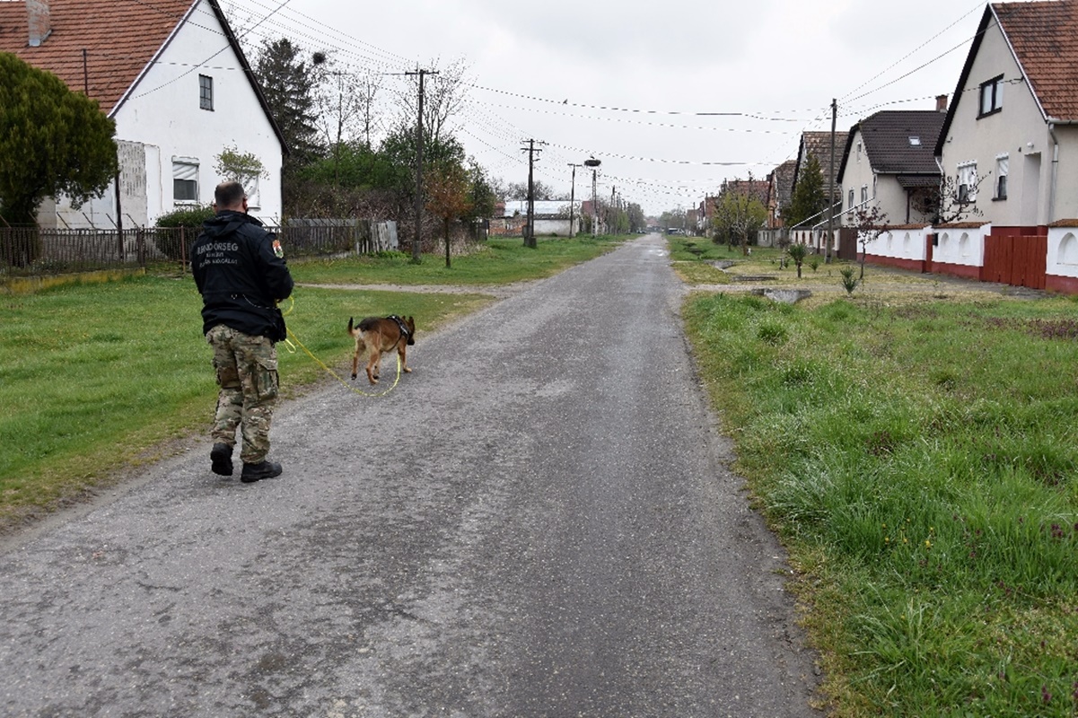 Az izsáki rablóhoz Joker, a kutya vezette el a rendőröket