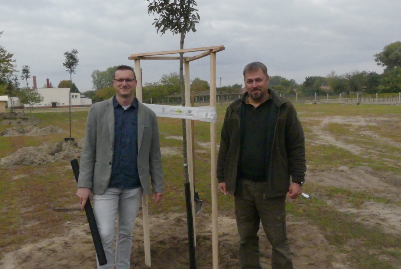 Kőrisfákkal gazdagodott a csengődi közösségi tér az Országfásítási Programnak köszönhetően