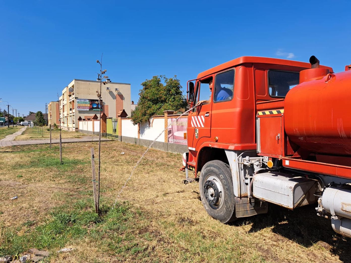 292221463_1731786233824081_5444959674235605499_n