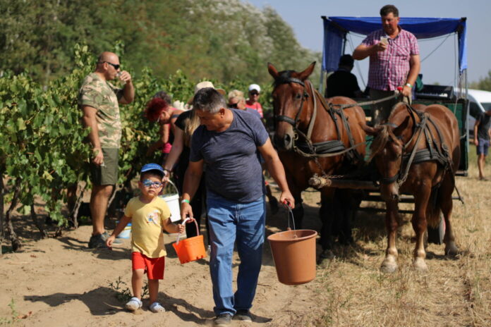 20240907105651_IMG_3649