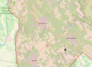 Fenyőerdő aljnövényzete égett Soltvadkertnél