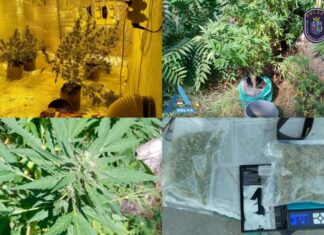 A kiskunhalasi terjesztőt és soltvadkerti törzsvásárlóját is elfogták a nyomozók