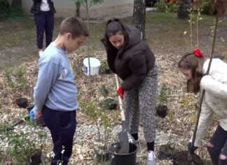 Esőkerteket minden településre!