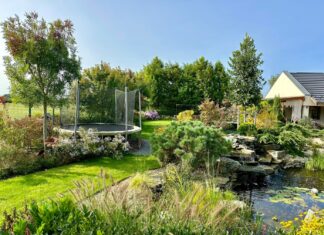 Sivatagtól dzsungelig: így építette fel álomkertjét a kiskőrösi kertészmérnök