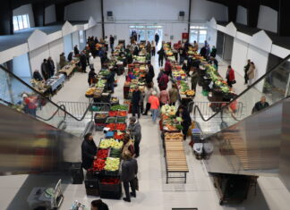 Folyamatos fejlődés jellemzi az új Kiskőrösi Városi Piacot, mely egy évvel ezelőtt nyitotta meg kapuit a Piaccsarnokban