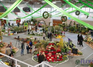 December 5-én nyílt meg a XXXVI. FLORA Fesztivál Kecelen