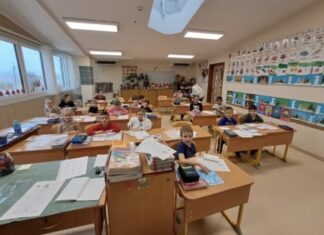 Apró boríték, hatalmas köszönet – az 1.b osztály karácsonyi üzenete az állatvédelem rejtett hőseinek