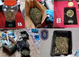 Lebukott a soltvadkerti férfi: saját termesztésű marihuánával próbált leszokni a drogról