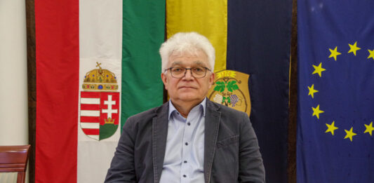 Elkerülő út, Vadkerti-tó, városi fejlesztések – Temerini Ferenc évértékelője