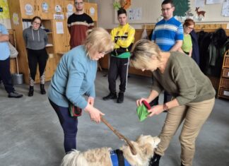 Egy különleges tanóra négylábú vendéggel