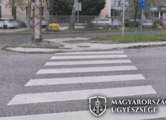 A zebra közepén sodorta el, majd továbbhajtott