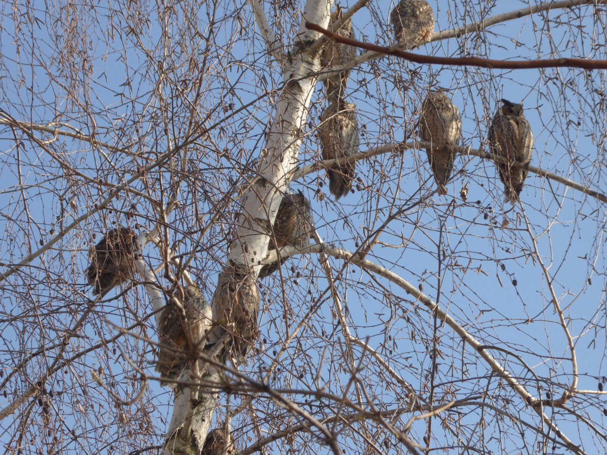 asiotu-20200124-kalocsa-04