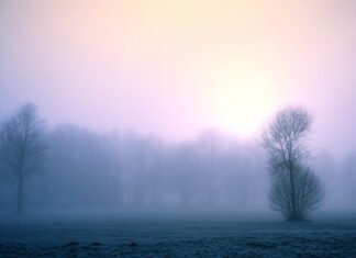 Enyhít szorításán a fagy és többfelé várható csapadék a hétvégén