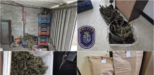 Több láda marihuána – lebukott egy kecskeméti díler