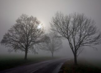 Enyhe, de borult, párás idő várható a héten, többször kell csapadékra készülni