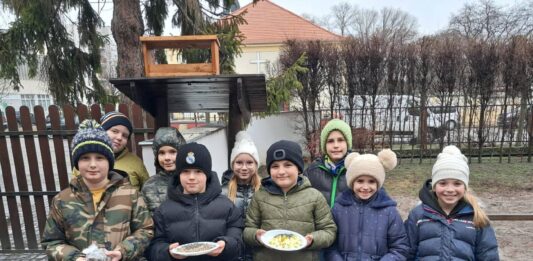 „Itthon telelő madaraink” – Élménydús projektnap a KEVI Petőfi Sándor Általános Iskolában