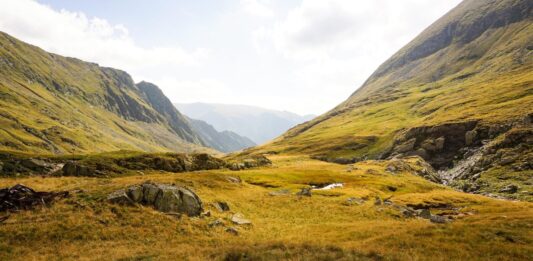 Wass Albertre emlékezünk halála 28. évfordulóján