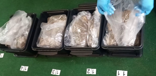 Közel 9,5 kilogramm marihuánát és 322 cannabis magot találtak a kiskőrösi nyomozók egy soltvadkerti férfinél