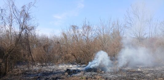 Száraz növényzet égett Kiskőrös külterületén