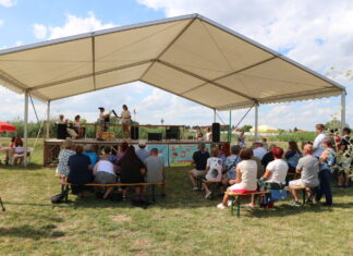 Felhívás: jelentkezés indult a Nyári Alkotói Fesztivál programjaira