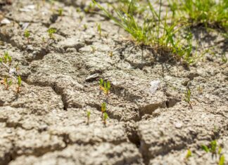 Agrometeorológia: a napos, száraz időben sokat szárad a talaj felszín közeli rétege