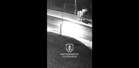 VIDEÓ: Festékszóróval akadályozta a traffipax működését