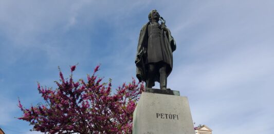 Kiskőrös legszebb fáit keresik – közösségi fotópályázat indult