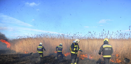 Tíz hektáron égett a nádas Akasztó külterületén – Vármegyei események