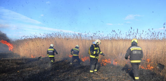 Tíz hektáron égett a nádas Akasztó külterületén – Vármegyei események