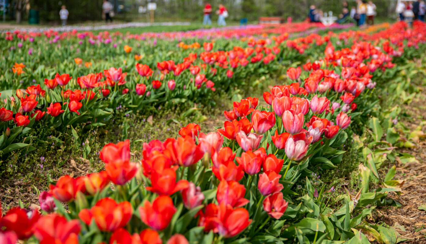 432232738_10221022633590448_5911110888511275780_n-e1742216312913