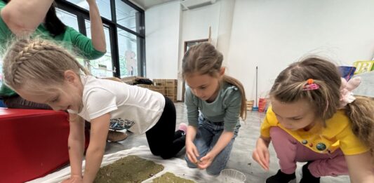 Ültesd el a tudást! – Különleges öko program a Bem iskolában