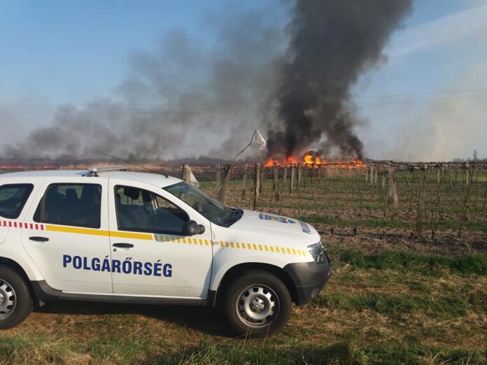 Kiskőrösi polgárőr szolgálat közben, lakossági bejelentés kezelése során egy családi ház előtt