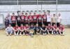 Bajnoki címet ünnepelhettek a kiskőrösi férfi kézisek