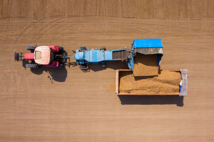 Almond picker harvester discharging, Aerial view. Modern vállalati géppark, amely a hosszú távú gazdasági befektetés és a versenyképes működés alapját jelenti.