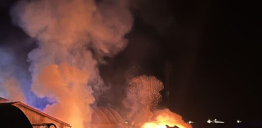 Tűz ütött ki késő este egy kiskőrösi fűrésztelepen