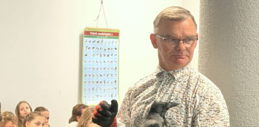 Dolmányos varjú a kiskőrösi Bem iskolában – különleges óra
